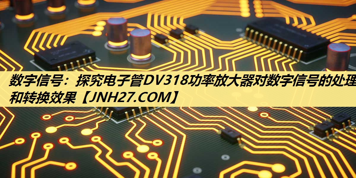 数字信号:探究电子管DV318功率放大器对数字信号的处理和转换效果 数字信号:探究电子管DV318功率放大器对数字信号的处理和转换效果