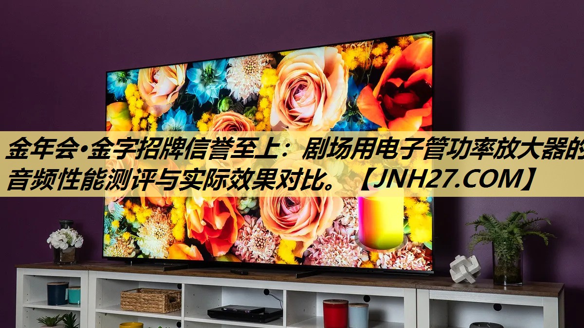 剧场用电子管功率放大器的音频性能测评与实际效果对比。 剧场用电子管功率放大器的音频性能测评与实际效果对比。