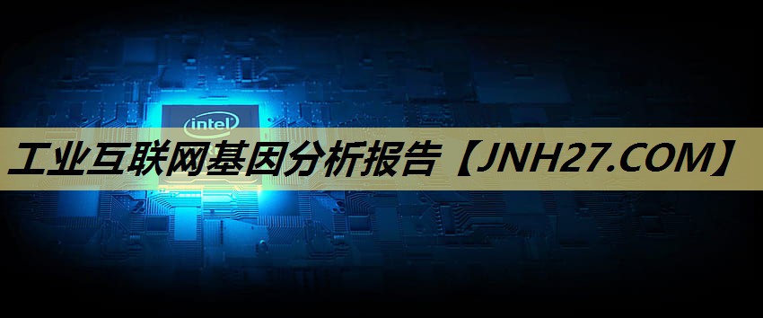 工业互联网基因分析报告 工业互联网基因分析报告