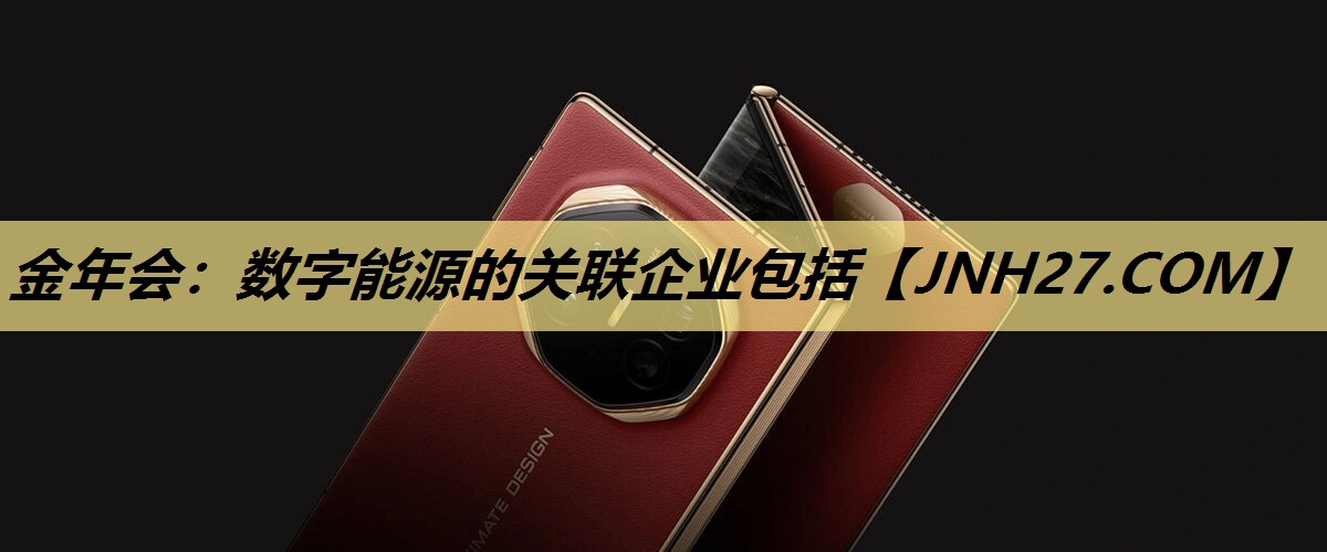 数字能源的关联企业包括 数字能源的关联企业包括