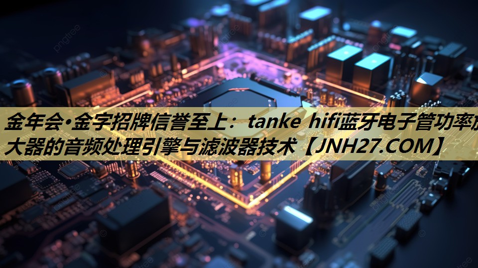 tanke hifi蓝牙电子管功率放大器的音频处理引擎与滤波器技术 tanke hifi蓝牙电子管功率放大器的音频处理引擎与滤波器技术