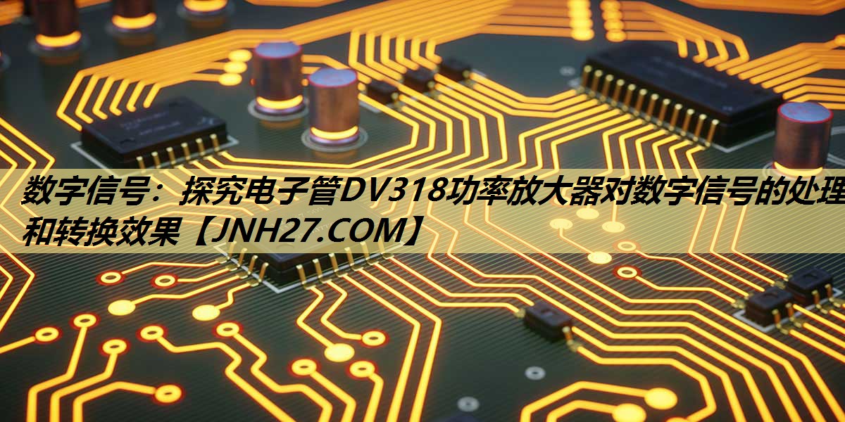 数字信号:探究电子管DV318功率放大器对数字信号的处理和转换效果 数字信号:探究电子管DV318功率放大器对数字信号的处理和转换效果
